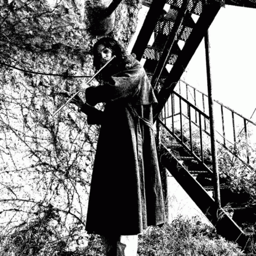 Secret Tales of My Journey in Gnome Forest